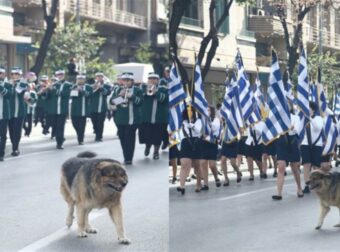 28η Οκτωβρίου: Περήφανος σκύλος κλέβει την παράσταση στη μαθητική παρέλαση της Θεσσαλονίκης (photos)