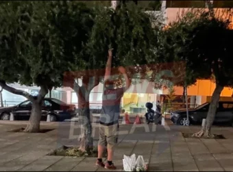 Θα πούμε το ψωμί, ψωμάκι: Πολίτης μάζεψε ελιές στο κέντρο της Αθήνας για την οικογένειά του