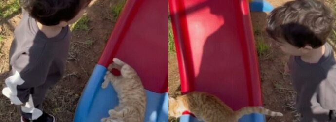 «Είναι άδικο»: Ο μικρός Μάξιμος που έχει τρελάνει το Tik Tok συνομιλεί με μια γάτα και γίνεται viral