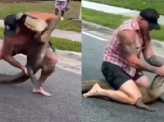 Ανατριχιαστικό βίντεο: Άνδρας έπιασε με γuμνά χέρια αλιγάτορα 2,5 μέτρων που έκοβε βόλτες στην πόλη (video)