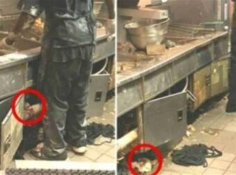 Μπήκε με κρυφή κάμερα σε κουζίνα διάσημου εστιατορίου και αυτό που αντίκρισε έχει εξοργίσει όλο το διαδίκτυο!