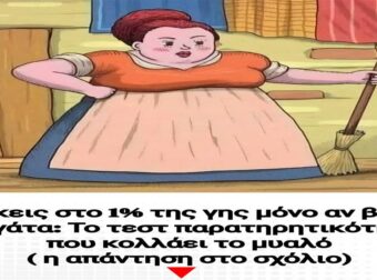 Ανήκεις στο 1% της γης μόνο αν βρεις την γάτα: Το τεστ παρατηρητικότητας που κολλάει το μυαλό