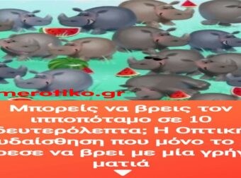 Μπορείς να βρεις τον ιπποπόταμο σε 10 δευτερόλεπτα; Η Οπτική ψευδαίσθηση που μόνο το 2% μπόρεσε να βρει με μία γρήγορη ματιά