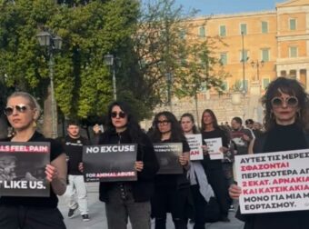 «Η σφαγή δεν είναι αγάπη»: Διαμαρτυρία από vegans στο Σύνταγμα κατά του σουβλίσματος αρνιών το Πάσχα