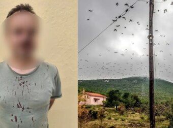 Άγριο ξύλο για τα πουλιά: Λαθροκυνηγοί έστειλαν στο νοσοκομείο ορνιθολόγους από το ξύλο