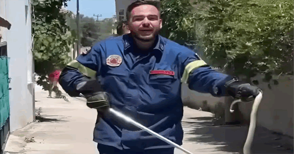 Viral πυροσβέστης στη Λέσβο πιάνει φίδι με σκούπα και ζητάει ένα «τσβαλ» να το βάλει μέσα