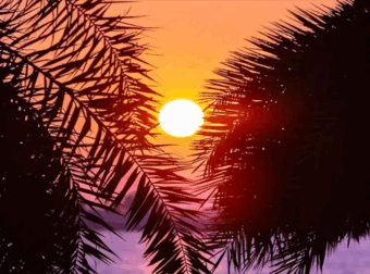 Έρχονται οι Αλκυονίδες μέρες – Πότε ο καιρός θα θυμίζει άνοιξη