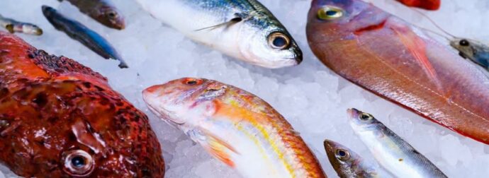 Το πιο υγιεινό ψάρι που όλοι πρέπει να τρώμε τουλάχιστον δύο φορές την εβδομάδα