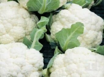 Γιατροί αποκαλύπτουν ότι η κατανάλωση κουνουπιδιού προκαλεί…