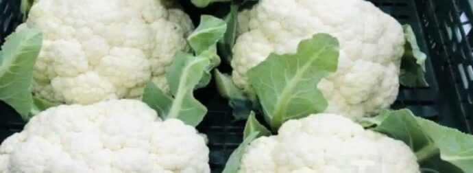 Γιατροί αποκαλύπτουν ότι η κατανάλωση κουνουπιδιού προκαλεί…