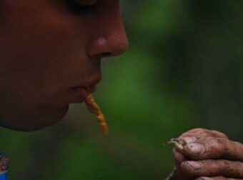Survivor – Αθηναίοι VS Επαρχιώτες: Έφαγε… «αστακοκαβουρογαριδοκόχυλο» που βρήκε στο έδαφος  (video)