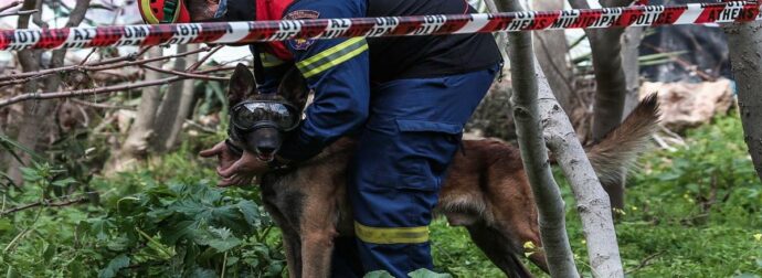 Τραγική εξέλιξη στα Ιωάννινα: Νεκρός εντοπίστηκε 75χρονος αγνοούμενος
