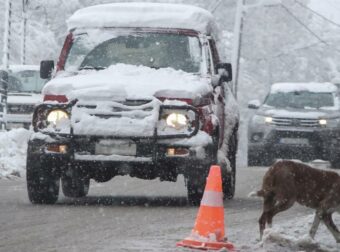 Καιρός: Στην κατάψυξη η χώρα με κατακόρυφη πτώση της θερμοκρασίας – Χιόνια και καταιγίδες προ των πυλών