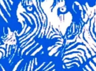 Τεστ προσωπικότητας με οπτική ψευδαίσθηση: Ανακαλύψτε αν είστε εξωστρεφής ή εσωστρεφής