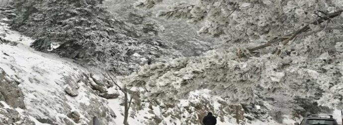 Η Πάρνηθα ντύθηκε στα «λευκά» – Διακόπηκε η κυκλοφορία κοντά στο καζίνο – Χιόνια σε Ιπποκράτειο Πολιτεία και Εύβοια