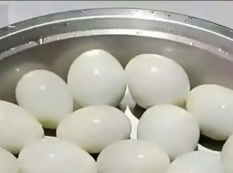 Πόσα αυγά βλέπετε σε αυτή την φωτογραφία;