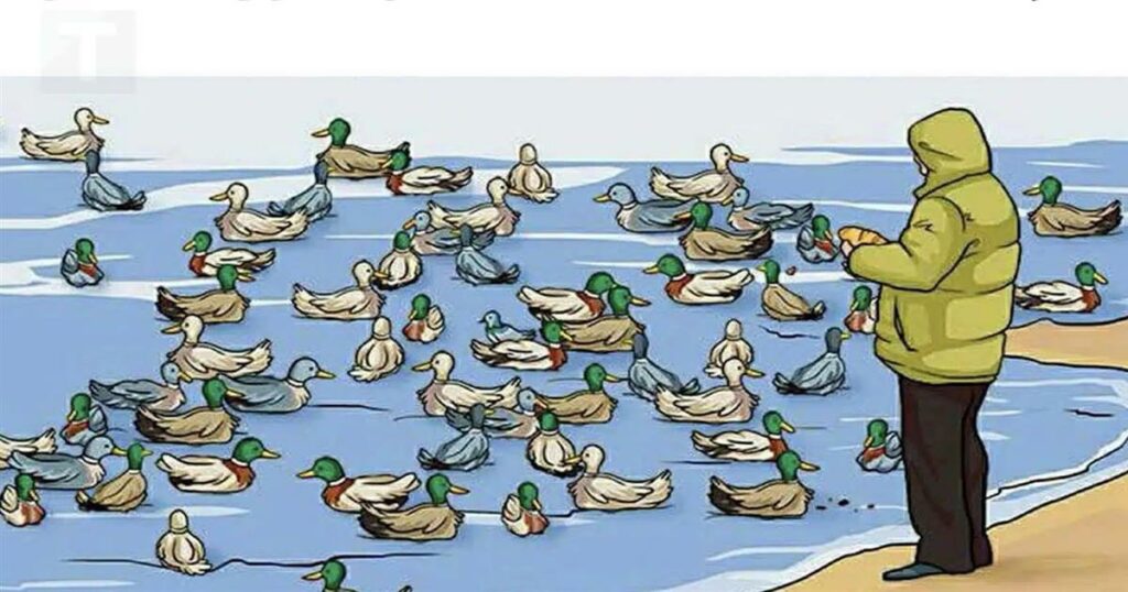 Αν μπορείτε να εντοπίσετε τι δεν πάει καλά σε αυτή τη φωτογραφία, είστε διάνοιες