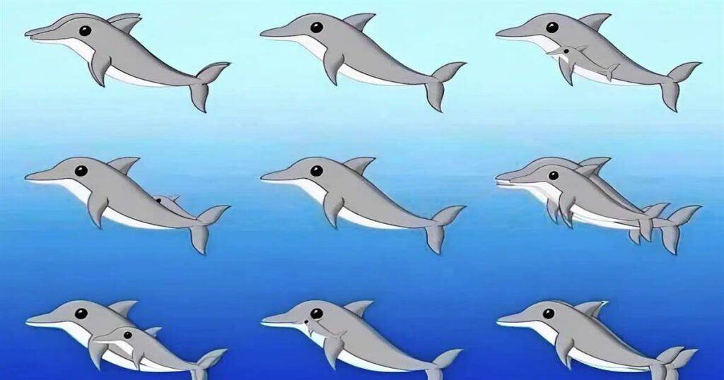 Πόσα δελφίνια υπάρχουν σε αυτή την εικόνα;