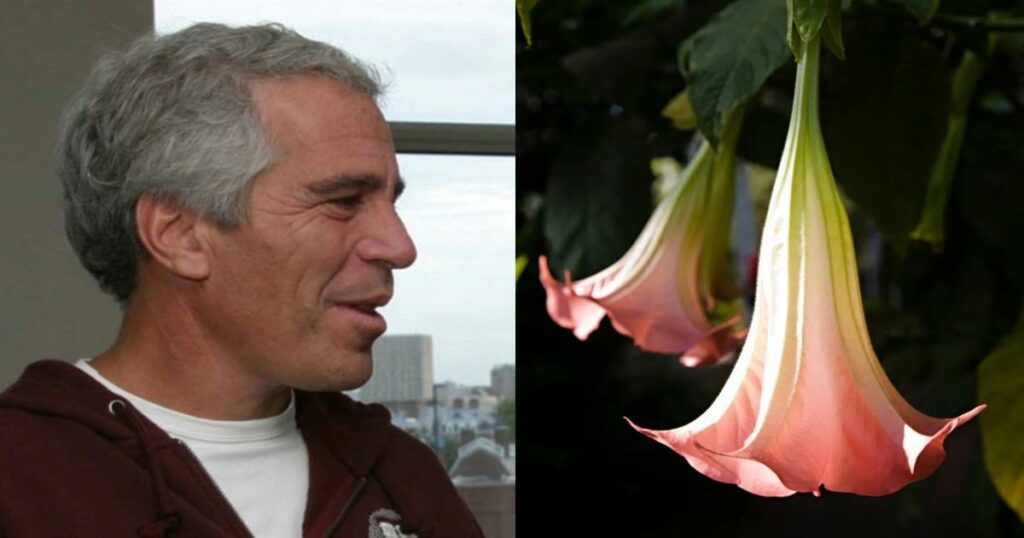 Τζέφρι Έπσταϊν: Καλλιεργούσε το «ναρκωτικό των ζόμπι» – Αυτά είναι τα δηλητηριώδη φυτά και η ουσία που έδινε στα θύματα