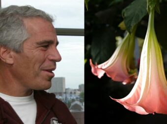 Τζέφρι Έπσταϊν: Καλλιεργούσε το «ναρκωτικό των ζόμπι» – Αυτά είναι τα δηλητηριώδη φυτά και η ουσία που έδινε στα θύματα