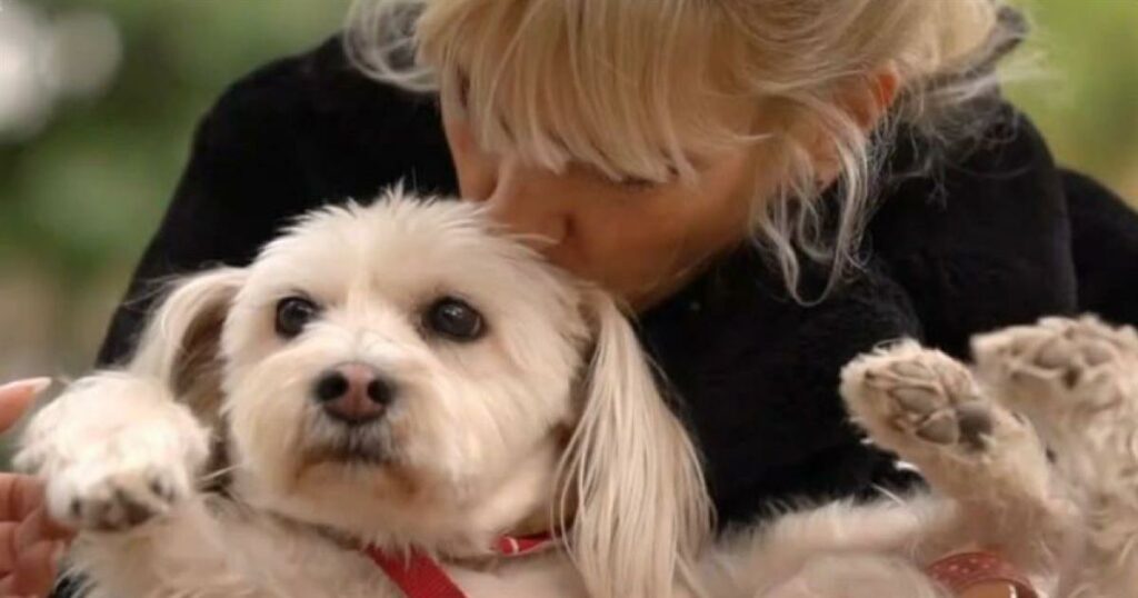 Μυρτώ Αλικάκη για την κακοποίηση της σκυλίτσας της: «Είχε βιαστεί από μεγάλα σκυλιά»