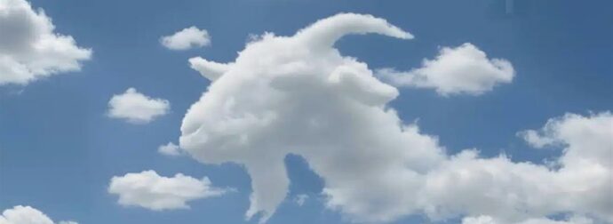 Είδατε πρώτα μια χελώνα ή μια καμήλα; Τι αποκαλύπτει αυτό για το πώς λειτουργεί ο εγκέφαλός σας