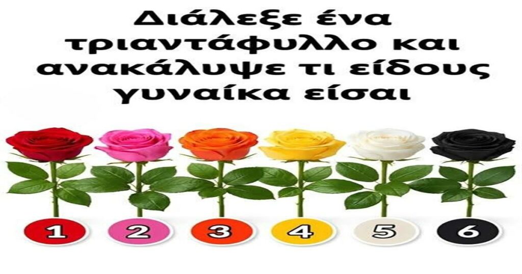 Διάλεξε ένα τριαντάφυλλο και ανακάλυψε τι είδους γυναίκα είσαι