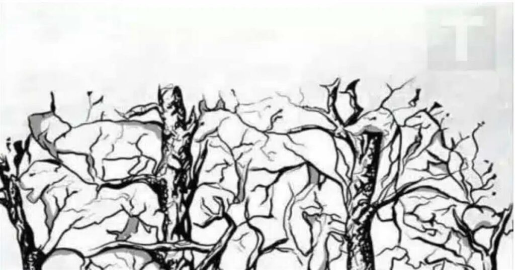 Το πρώτο ζώο που βλέπετε αποκαλύπτει κάτι καταπληκτικό για την προσωπικότητα σας