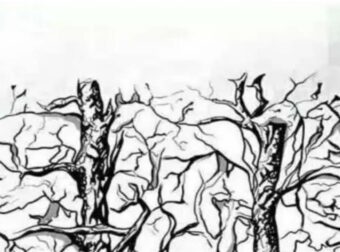 Το πρώτο ζώο που βλέπετε αποκαλύπτει κάτι καταπληκτικό για την προσωπικότητα σας