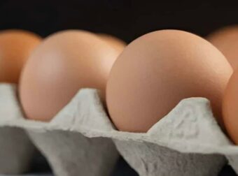 Το σκάνδαλο με τα ελληνικά αυγά – Οι καταναλωτές τα αγοράζουν και δεν παίρνουν χαμπάρι – Τι συμβαίνει