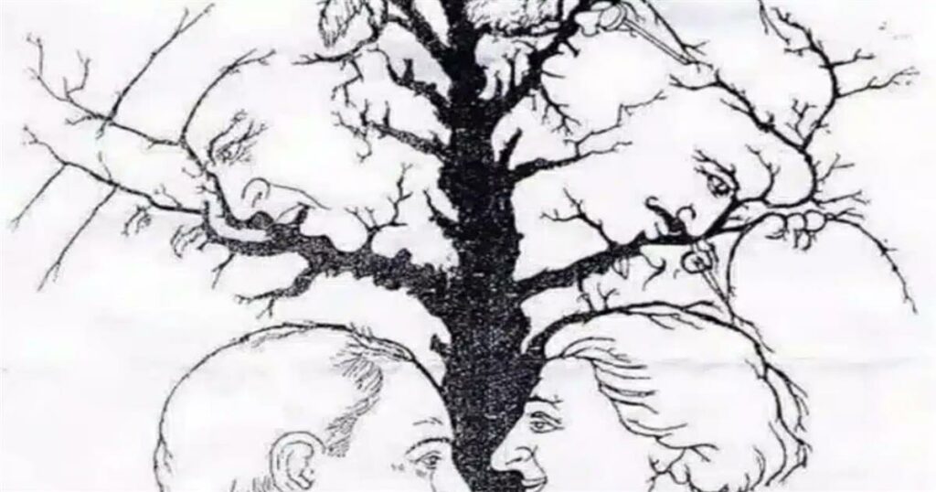 ΕΓΩ ΕΙΔΑ 5. ΕΙΣΑΙ ΠΟΣΑ ΠΡΟΣΩΠΑ ΒΛΕΠΕΤΕ;