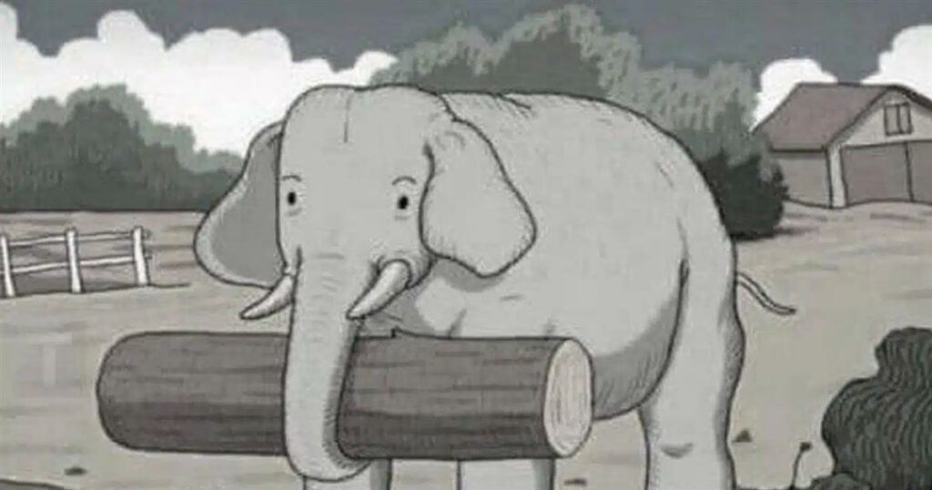 Μπορείτε να βρείτε το κρυμμένο άλογο; Δοκιμάστε αυτή την δύσκολη πρόκληση μέσα σε 7 δευτερόλεπτα