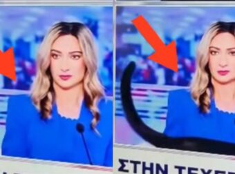 Viral η γάτα που έκοβε βόλτες στο στούντιο του ΣΚΑΙ