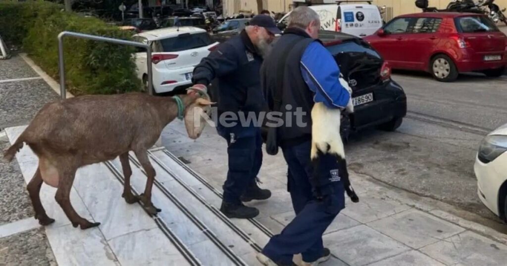 Δεν θα πιστεύετε ποιος είναι ο άντρας που το είχε παράνομο μαντρί στους Αμπελόκήπους