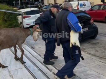 Δεν θα πιστεύετε ποιος είναι ο άντρας που το είχε παράνομο μαντρί στους Αμπελόκήπους