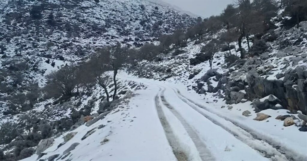 Ψυχρή εισβολή από την Αρκτική απειλεί την Ελλάδα – Κίνδυνος παγετού και ζημιών στην αγροτική παραγωγή
