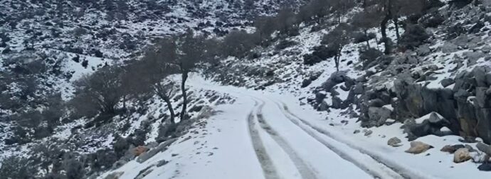 Ψυχρή εισβολή από την Αρκτική απειλεί την Ελλάδα – Κίνδυνος παγετού και ζημιών στην αγροτική παραγωγή