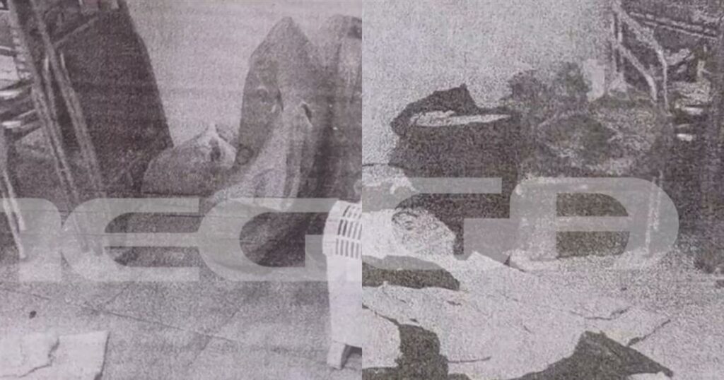 «Σάπια από τη μούχλα»: Σοκάρουν οι φωτογραφίες από το σπίτι-κολαστήριο των 6 παιδιών στο Περιστέρι – Οι εξηγήσεις της μητέρας