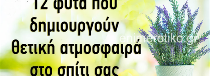 Τα συστήνουν όλοι οι Ειδικοί του Φενγκ Σούι: Τα Λουλούδια που που φέρνουν Καλή Τύχη και Θετική Ενέργεια στο Σπίτι σας