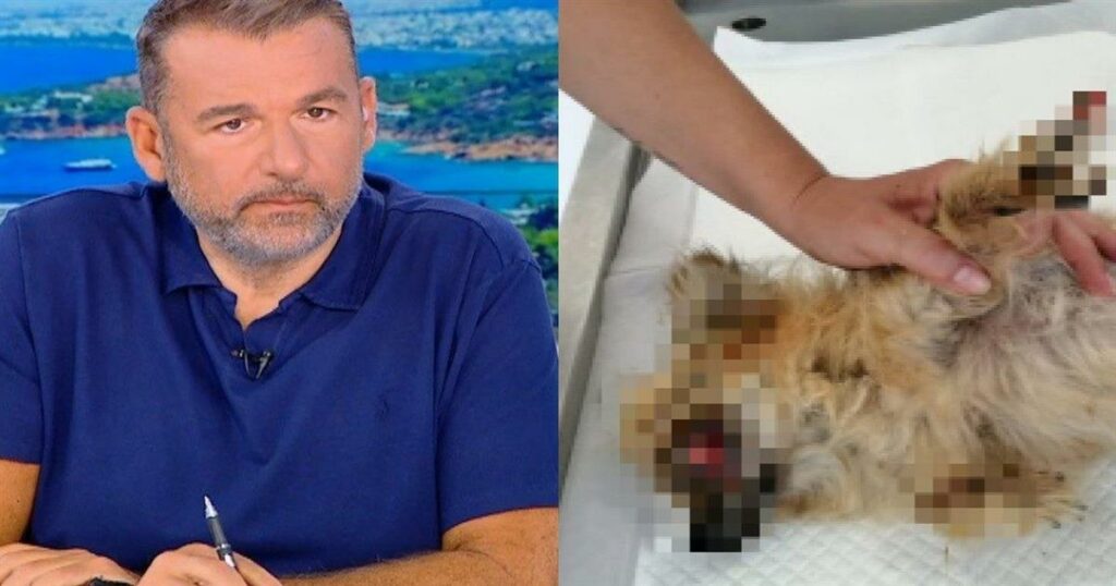 ΑΥΤΟΣ ΕΙΝΑΙ Ο ΓΝΩΣΤΟΣ ΜΟΥΣΙΚΟΣΥΝΘΕΤΗΣ ΠΟΥ ΚΑΤΗΓΟΡΕΙΤΑΙ ΓΙΑ ΚΑΚΟΠΟΙΗΣΗ ΖΩΟΥ