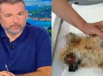 ΑΥΤΟΣ ΕΙΝΑΙ Ο ΓΝΩΣΤΟΣ ΜΟΥΣΙΚΟΣΥΝΘΕΤΗΣ ΠΟΥ ΚΑΤΗΓΟΡΕΙΤΑΙ ΓΙΑ ΚΑΚΟΠΟΙΗΣΗ ΖΩΟΥ
