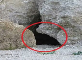 Έβαλαν κάμερα έξω από αυτήν τη σπηλιά. Έπαθαν την πλάκα τους όταν είδαν τι κατέγραψε