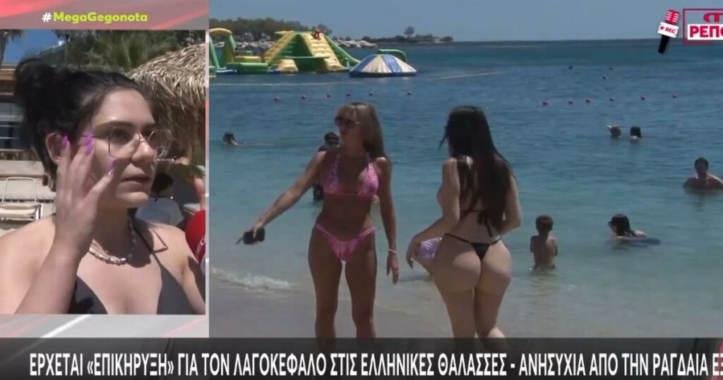 Νέα επίθεση: Λαγοκέφαλος επιτέθηκε σε δύο λουόμενους και τους έστειλε στο νοσοκομείο (video)
