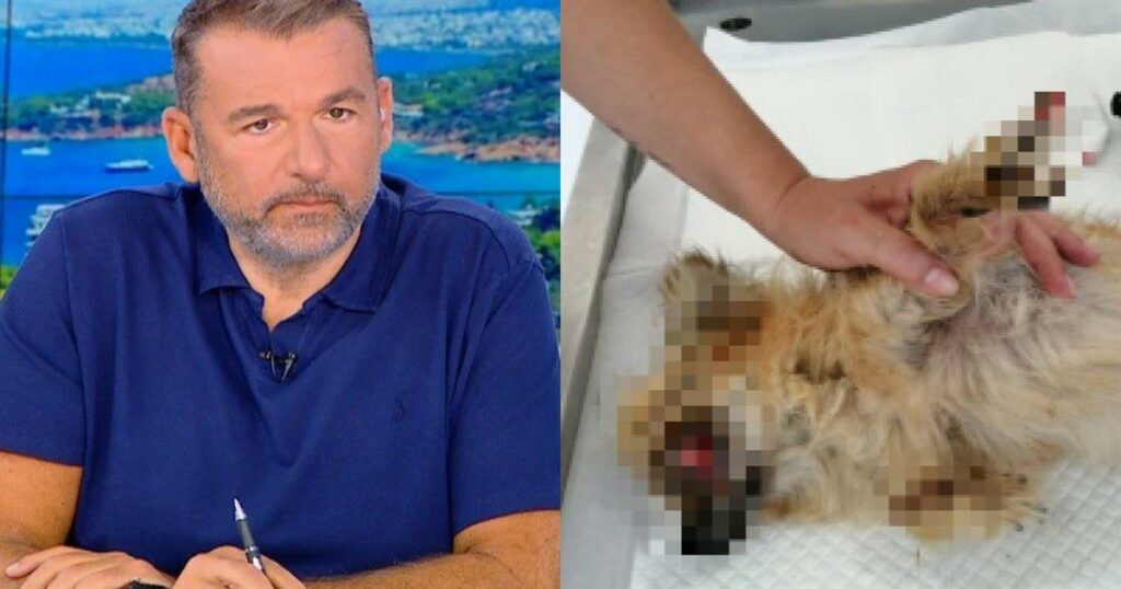Προσοχή σκληρές εικόνες: Γνωστός μουσικοσυνθέτης κατηγορείται για κακοποίηση και παραμέληση ζώου – Ποιος είναι;