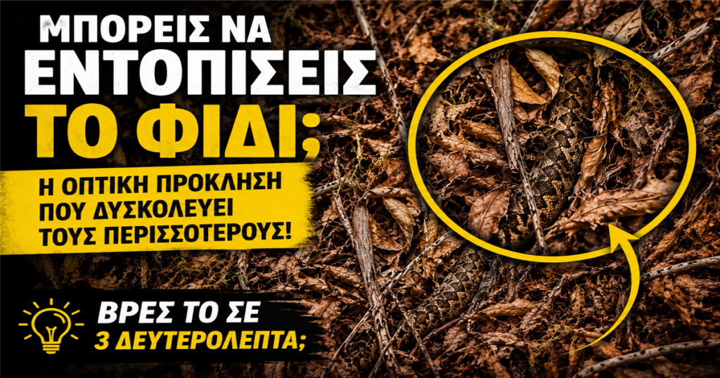 Μπορείς να εντοπίσεις το φίδι; Το βρίσκουν μόνο οι πιο παρατηρητικοί