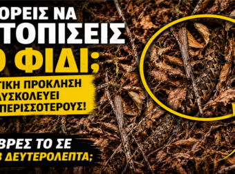 Μπορείς να εντοπίσεις το φίδι; Το βρίσκουν μόνο οι πιο παρατηρητικοί