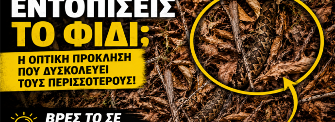 Μπορείς να εντοπίσεις το φίδι; Το βρίσκουν μόνο οι πιο παρατηρητικοί