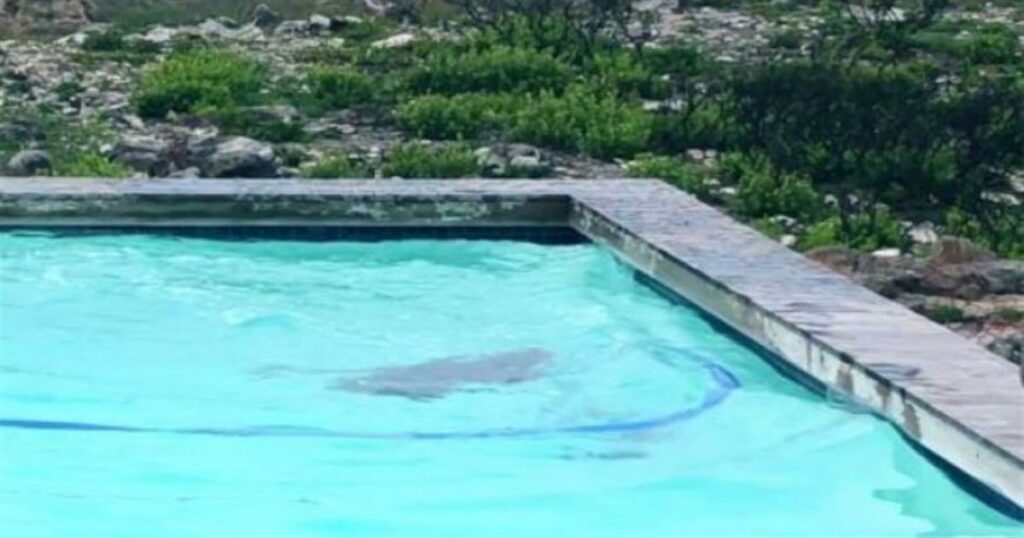 Γιατρός κήρυξε νεκρό παιδί 18 μηνών και το βρήκαν ζωντανό στο νεκροτομείο – «Παρακαλώ κάντε τα δικά σας και αφήστε με να κάνω τα δικά μου. Πήγα στην ιατρική σχολή για κάποιο λόγο»