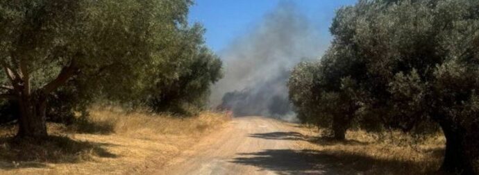 Φωτιά στα Σπάτα: Νεκρός βρέθηκε οδηγός μέσα στο αυτοκίνητό του
