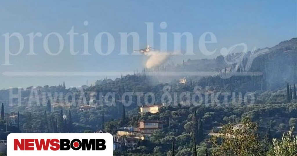 Αίγιο: Βελτιωμένη η εικόνα της φωτιάς – Καίγονται ελαιώνες και αγροτοδασικές εκτάσεις